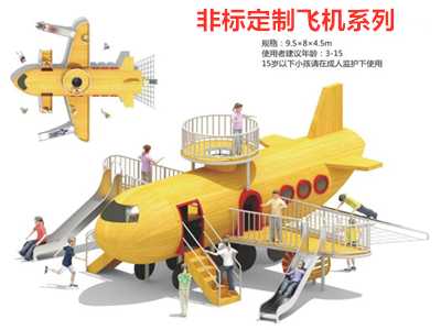 呂梁非標定制飛機系列1